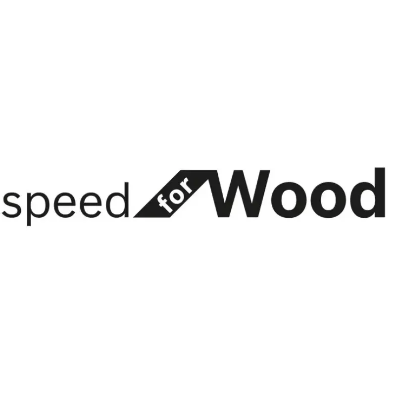 Pjūklo geležtė Bosch T 244 D Speed medienai