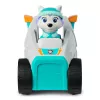 Spinmaster PAW Patrol Everest sniego plūgas — plastikinis, nuo 3 metų, turkio/baltos spalvos