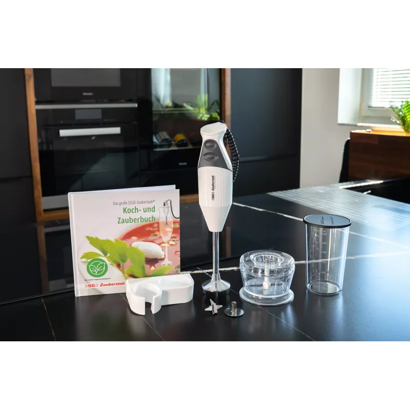 ESGE M 160 G Gourmet 0,6 l panardinamasis trintuvas 160 W antracito, baltos spalvos