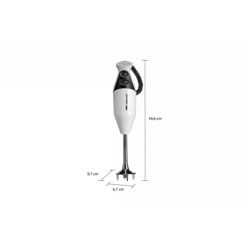 ESGE M 160 G Gourmet 0,6 l panardinamasis trintuvas 160 W antracito, baltos spalvos