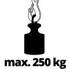 Vielinė gervė Einhell TC-EH 250 500 W 12 m 125 kg