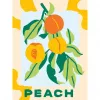 Tapybos rinkinys Ravensburger CreArt — Peaches (kūrybinis tapybos rinkinys, modelis 25517)