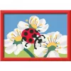Ravensburger CreArt tapybos rinkinys – boružės motyvas, rankdarbių tapybos rinkinys