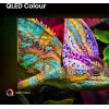 Hisense 85E77Q PRO 2.16 m (85 coliai) 4K Ultra HD išmanusis televizorius Wi-Fi juodas