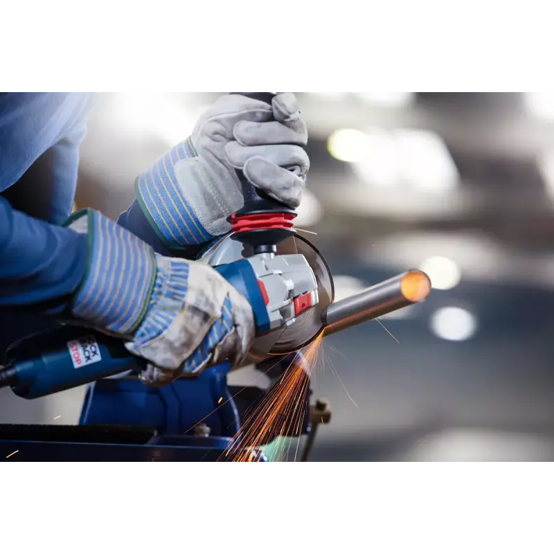 Bosch 2 608 600 095 kampinio šlifuoklio priedas Pjovimo diskas