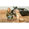 Bosch Fontus 18V slėgio plovimo įrenginys statmenas baterinis juodas, žalias