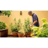 Bosch GardenPump18V-2000 (1x2,5 Ah) 2000 l/val.