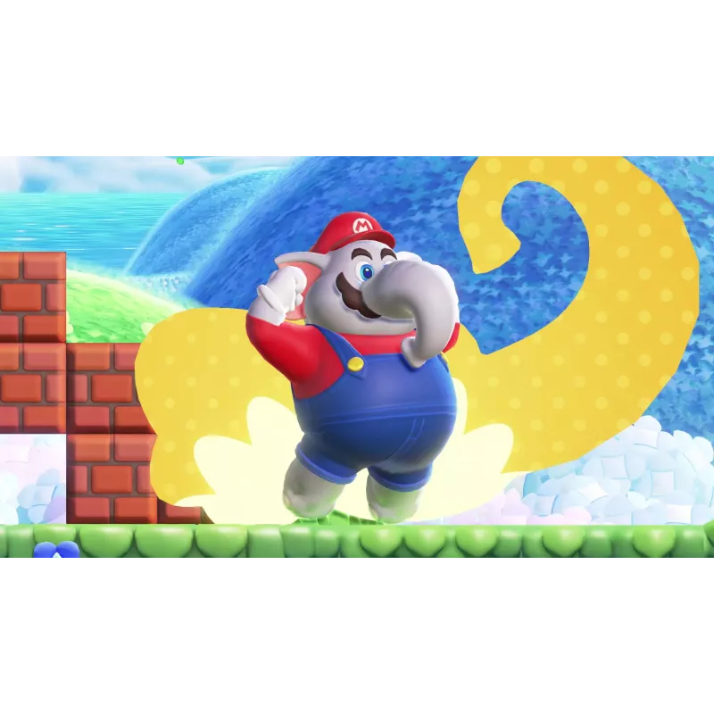 Nintendo Super Mario Bros. Wonder Standard Tradicinė kinų, vokiečių, olandų, anglų, ispanų, prancūzų, italų, japonų, korėjiečių, portugalų, rusų Nintendo Switch