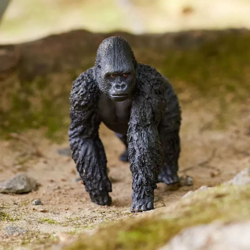 schleich WILD LIFE Gorila, patinas, 3 metai, Džiunglės, Laukinių gyvūnų / nuotykių žaislai, Daugiaspalvis, Plastikas
