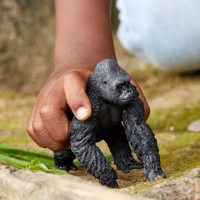 schleich WILD LIFE Gorila, patinas, 3 metai, Džiunglės, Laukinių gyvūnų / nuotykių žaislai, Daugiaspalvis, Plastikas
