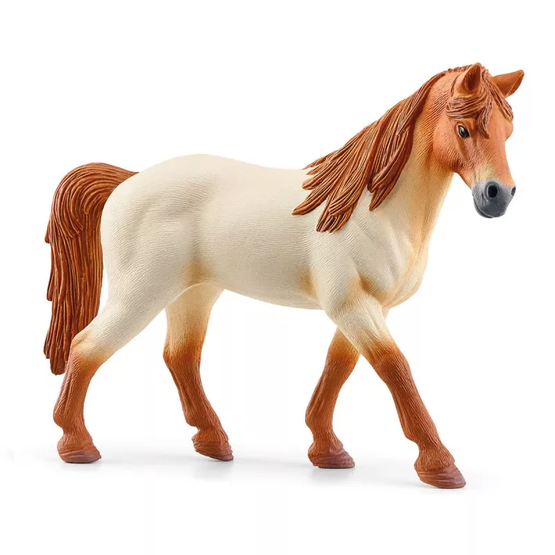 schleich HORSE CLUB Ežero krantinės jojimo centras, ūkis, arklių arklidės, žirgai, 5 m., įvairiaspalvis, plastikas