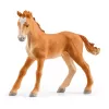 schleich HORSE CLUB Ežero krantinės jojimo centras, ūkis, arklių arklidės, žirgai, 5 m., įvairiaspalvis, plastikas