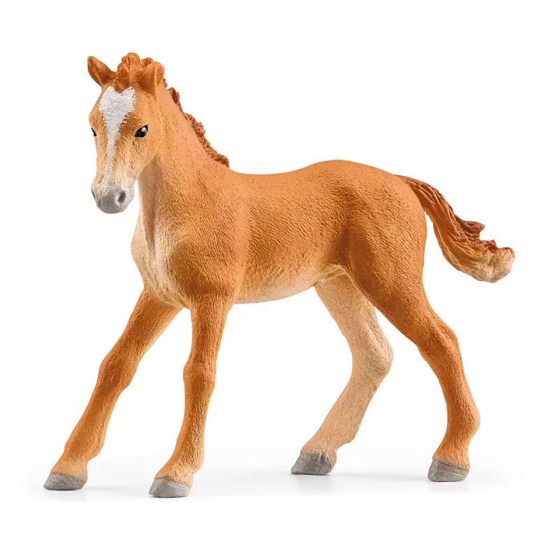 schleich HORSE CLUB Ežero krantinės jojimo centras, ūkis, arklių arklidės, žirgai, 5 m., įvairiaspalvis, plastikas