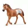schleich Kaubojių komandos laso pramoga, 3 m., įvairiaspalvis