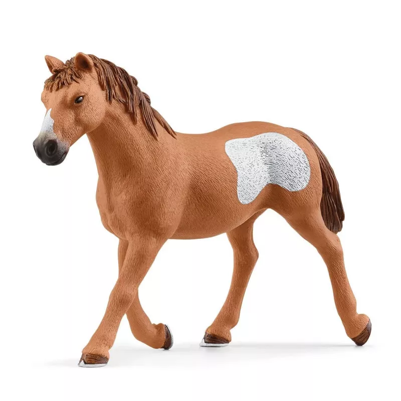 schleich Kaubojių komandos laso pramoga, 3 m., įvairiaspalvis