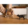 schleich Nuotykiai jojant vakaruose, 3 m., Įvairiaspalvis