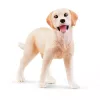 schleich Nuotykiai jojant vakaruose, 3 m., Įvairiaspalvis