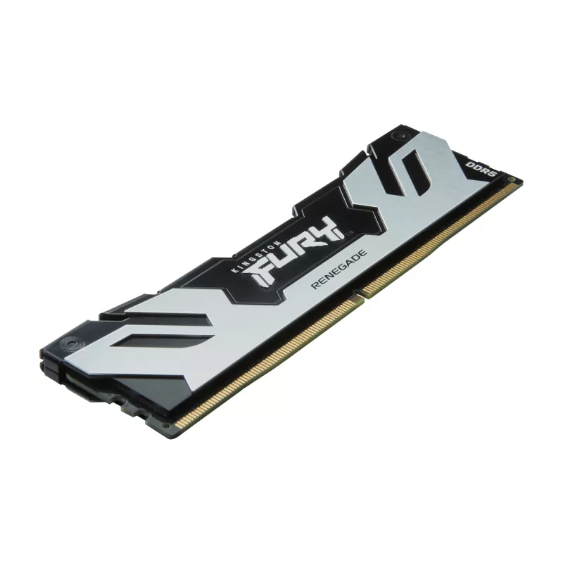 Kingston Technology FURY 32GB 6400MT/s DDR5 CL32 DIMM Renegade Sidabrinė XMP