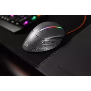Gaming pelė Canyon Apstar CND-SGM12RGB USB Type-A