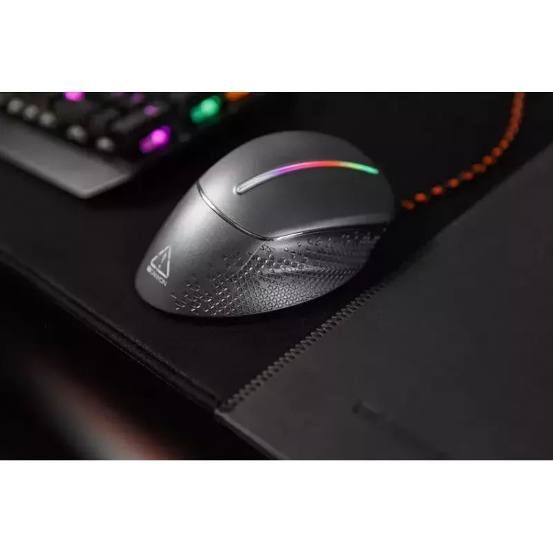 Gaming pelė Canyon Apstar CND-SGM12RGB USB Type-A