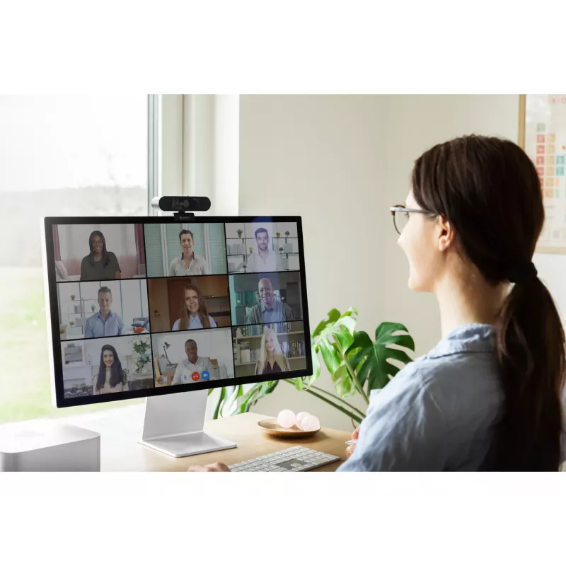 Internetinė kamera Sandberg Face-ID Webcam 2