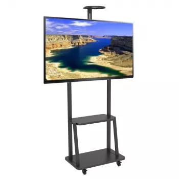 Techly ICA-TR33 reklaminio ekrano laikiklis 177,8 cm (70 colių) juodas