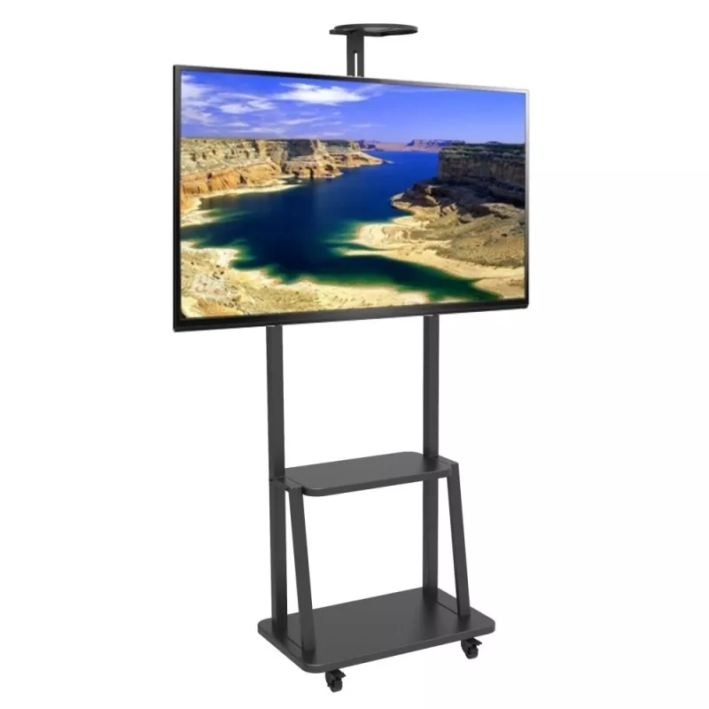 Techly ICA-TR33 reklaminio ekrano laikiklis 177,8 cm (70 colių) juodas