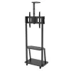 Techly ICA-TR33 reklaminio ekrano laikiklis 177,8 cm (70 colių) juodas