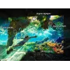 TV Samsung OLED 48 colių S90F 4K UHD (3840x2160), 120 Hz, HDR10+ Adaptive, Tizen, 2.1ch 40W