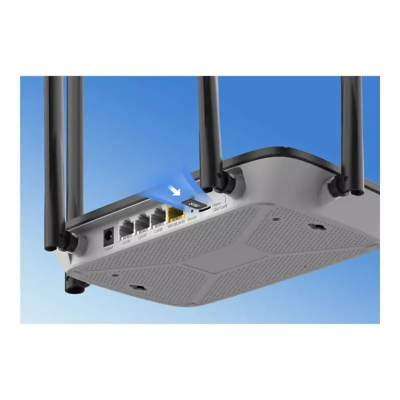 Maršrutizatorius Teltonika RMSDT101G150 150 GB duomenų RMS Connect/VPN