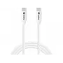 Sandberg USB-C USB-C 65W 1M SAVER, 1 m, USB C, USB C, USB 2.0, balta