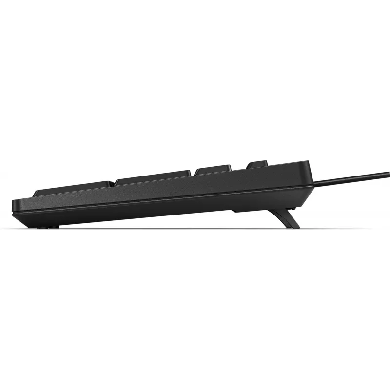 Klaviatūra HP 125 USB WD KBD Bulk 12 Viso dydžio Laidinė QWERTY