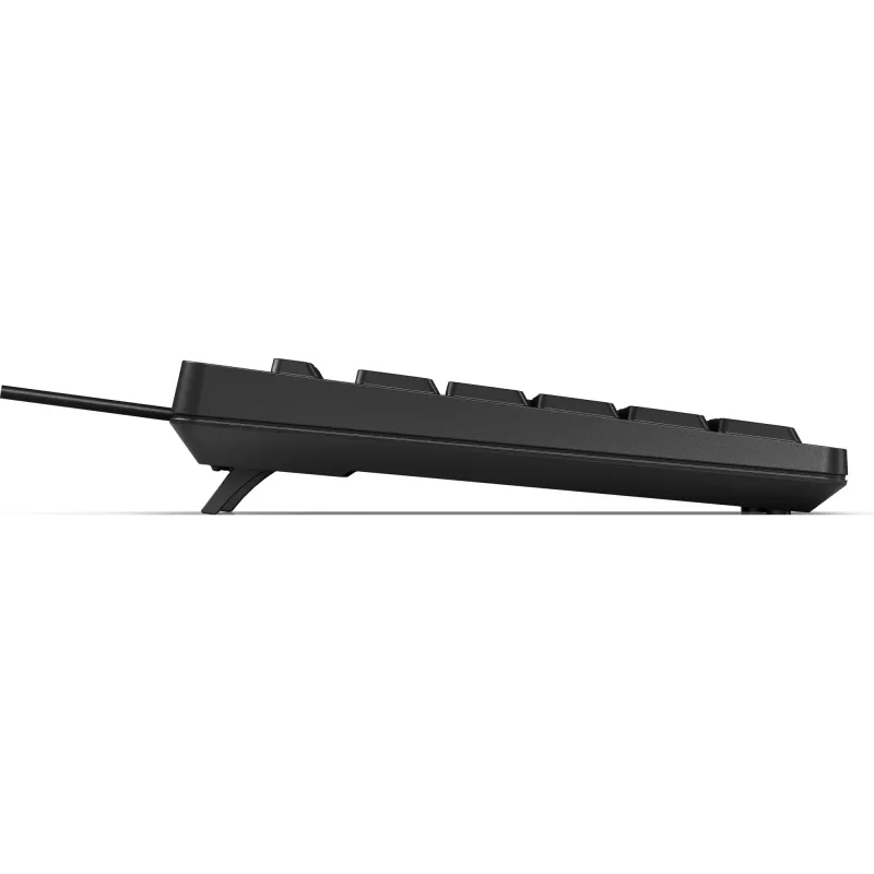 Klaviatūra HP 125 USB WD KBD Bulk 12 Viso dydžio Laidinė QWERTY