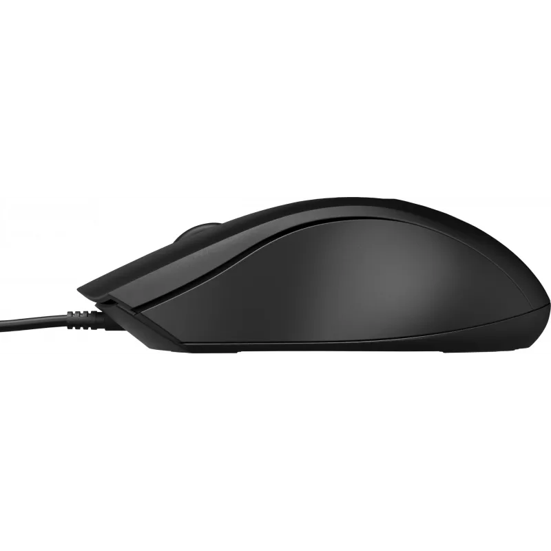 HP laidinė pelė 100, abiem rankoms tinkama, optinė, USB Type-A, 1600 DPI, juoda