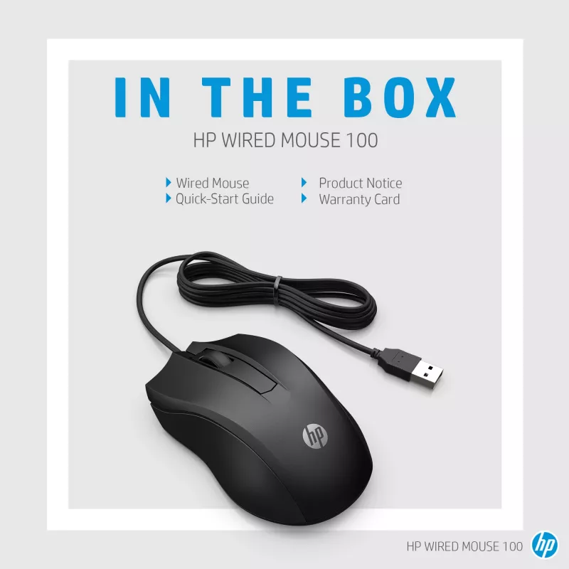 HP laidinė pelė 100, abiem rankoms tinkama, optinė, USB Type-A, 1600 DPI, juoda