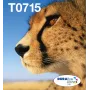 Epson Multipack 4-colours T071 EasyMail, Standard Yield, Juoda, Žydra, Magenta, Geltona, 7.4 ml, 5.5 ml, 1 vnt., Multi pack