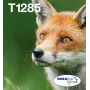 Rašaliniai daugkartiniai kasetės rinkiniai Epson Fox T128 EasyMail — 4 spalvos (juoda 5,9 ml; žydra/purpurinė/geltona 3,5 ml)