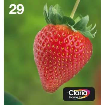Epson Strawberry Multipack 4 spalvų 29 EasyMail, standartinė talpa, juoda, žydra, purpurinė, geltona, 5,3 ml, 3,2 ml, 1 vnt., kelių pakuotė
