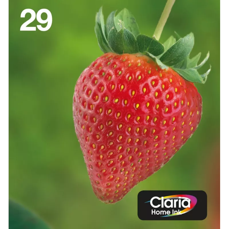 Epson Strawberry Multipack 4 spalvų 29 EasyMail, standartinė talpa, juoda, žydra, purpurinė, geltona, 5,3 ml, 3,2 ml, 1 vnt., kelių pakuotė