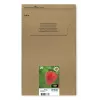 Epson Strawberry Multipack 4 spalvų 29 EasyMail, standartinė talpa, juoda, žydra, purpurinė, geltona, 5,3 ml, 3,2 ml, 1 vnt., kelių pakuotė