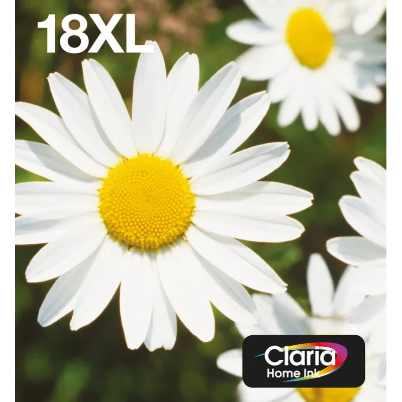 Epson Daisy Multipack 4-colours 18XL EasyMail, High (XL) Yield, Juoda, Žydra, Magenta, Geltona, 11.5 ml, 6.6 ml, 1 vnt., Multi pack