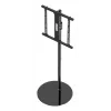 TV stovas Gembird TVS-65S-02 Juoda 165,1 cm 35 kg