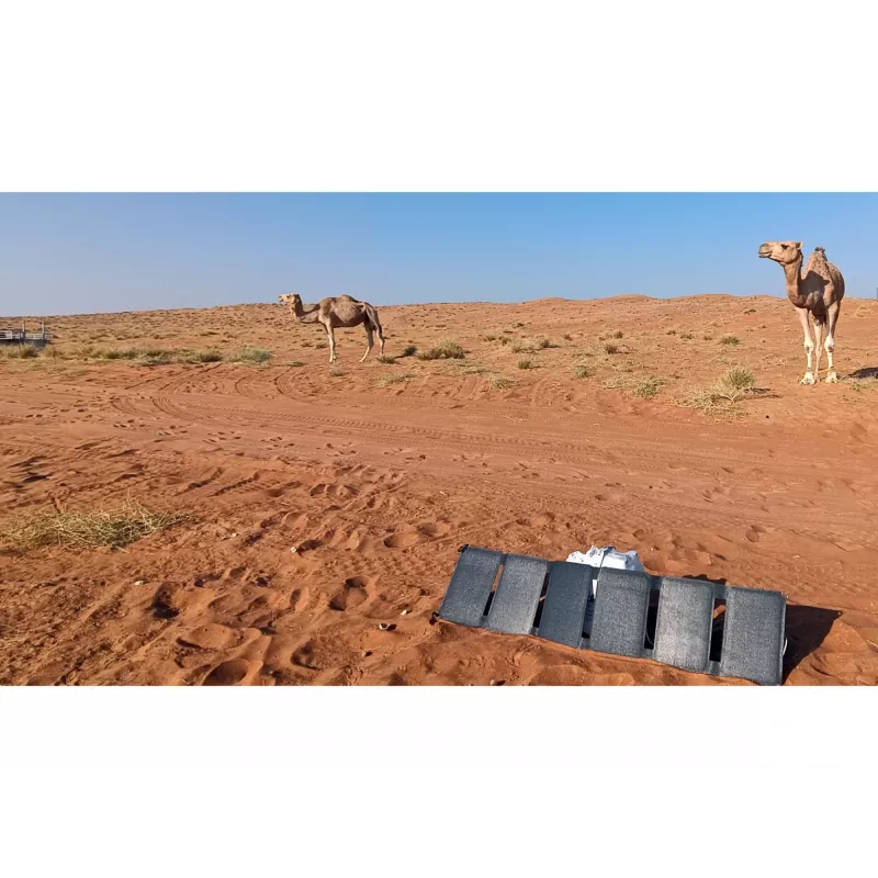 Sandberg Solar Charger 40W QC3.0+PD+DC, lauko, saulės, juoda