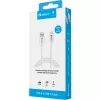 Sandberg USB-C 3.1 USB-A 3.0 1M, 1 m, USB A, USB C, USB 3.2 Gen 1 (3.1 Gen 1), kištukas/kištukas, balta