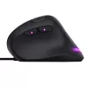 Trust GXT 144 Rexx pelė Žaidimų Kairė ranka USB Type-A Optinė 10000 DPI