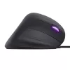 Trust GXT 144 Rexx pelė Žaidimų Kairė ranka USB Type-A Optinė 10000 DPI