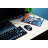 Trust Voca pelė biurui dešiniarankiams USB Type-A optinė 2400 DPI