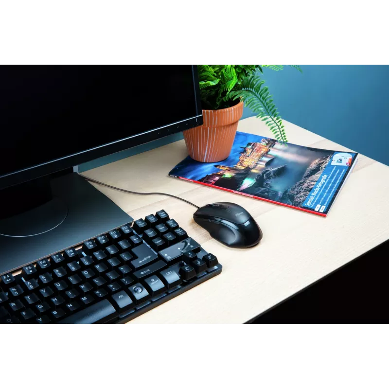 Trust Voca pelė biurui dešiniarankiams USB Type-A optinė 2400 DPI