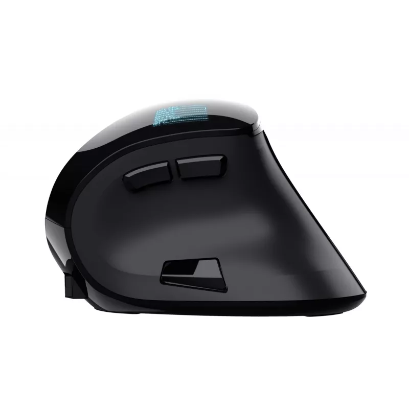 Trust Voxx pelė Biuro Dešiniarankiams RF belaidė + Bluetooth Optinė 2400 DPI