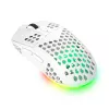 Trust GXT 929 Helox pelė Skirta žaidimams Dešiniarankiams RF belaidė Optinė 4800 DPI